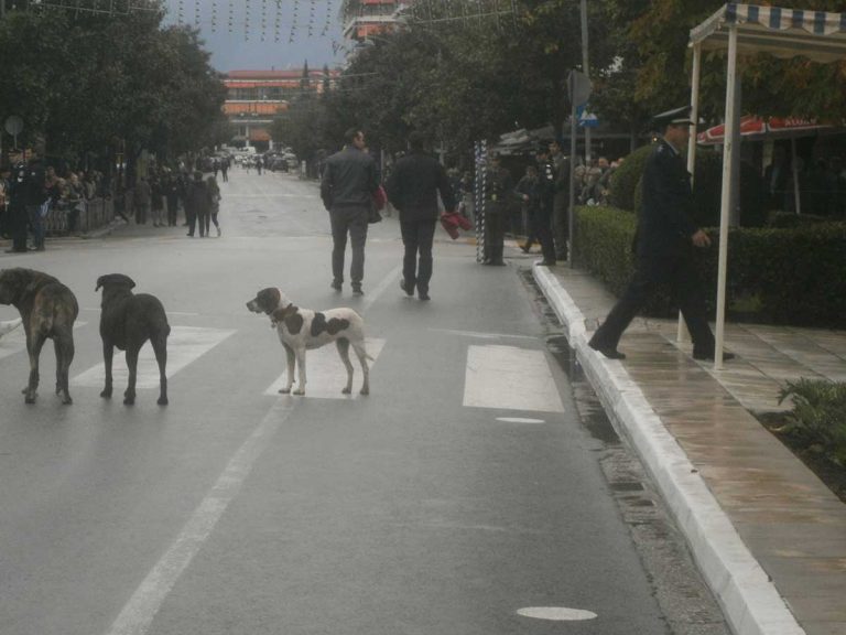 Μπαίνουν σε επιφυλακή και τα Τρίκαλα