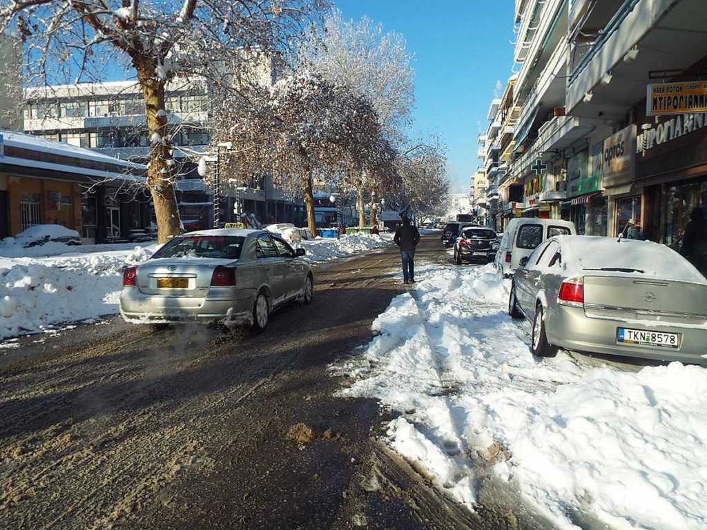 Δήμος Τρικκαίων: Η αλήθεια για το καταφύγιο αδέσποτων στην Ράξα