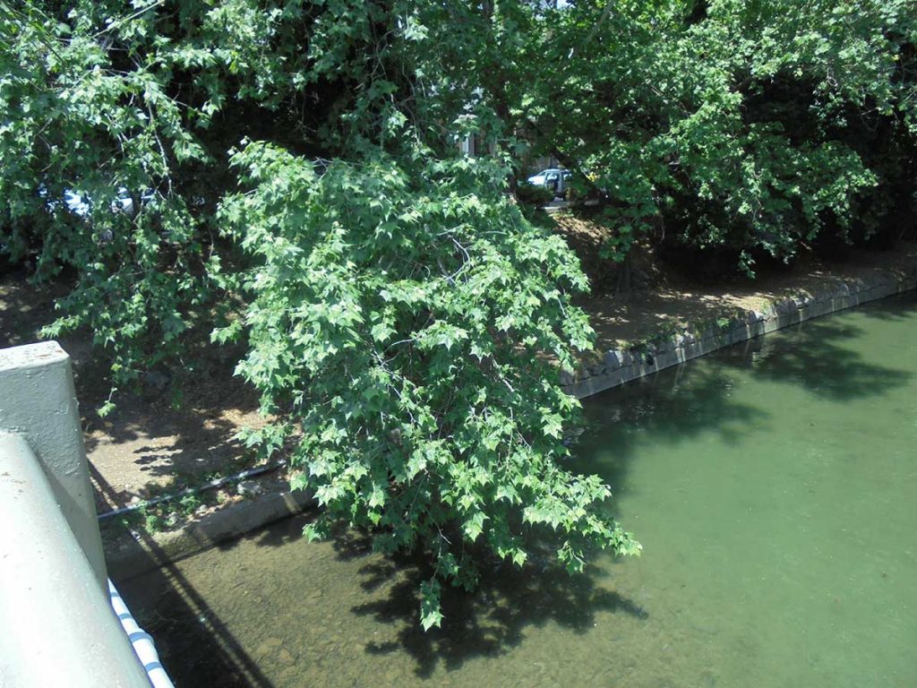 «Βγάζει μάτια»…