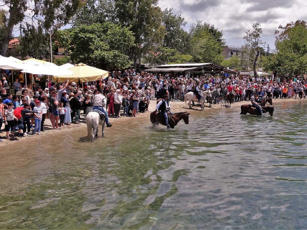 Μπήκαν στην θάλασσα τα άλογα για …Αγιασμό