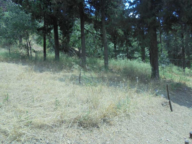 Τι ωραία εκδήλωση που έγινε στα Τρίκαλα!