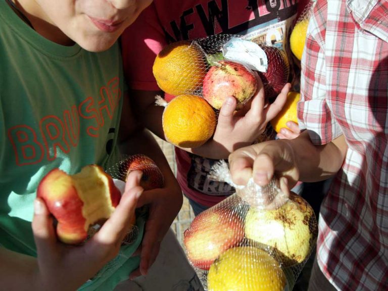 Δωρεάν διανομή φρούτων