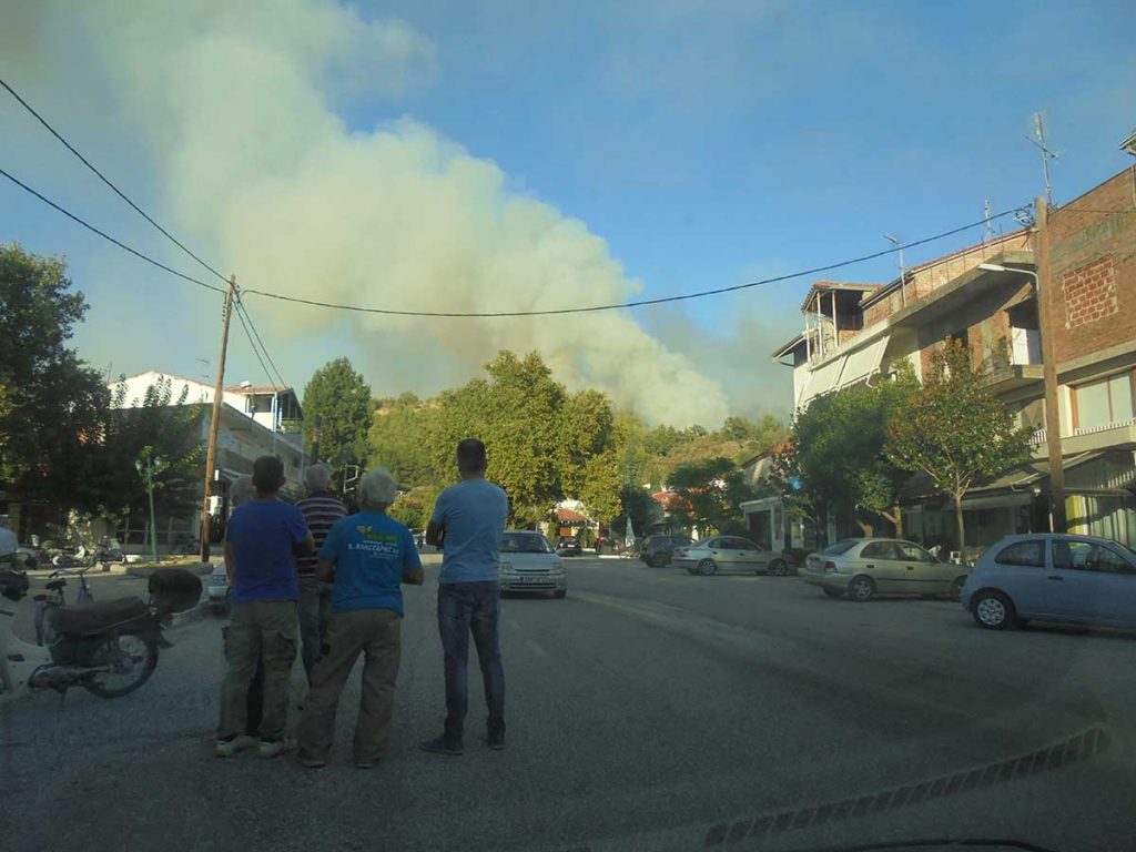 Στάχτη το πανέμορφο δάσος της Βασιλικής Τρικάλων