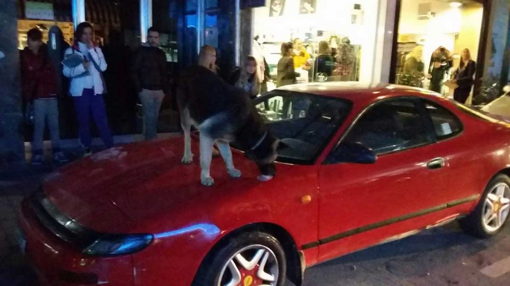 Μείναμε με την απορία τι …μύριζε ο σκύλος
