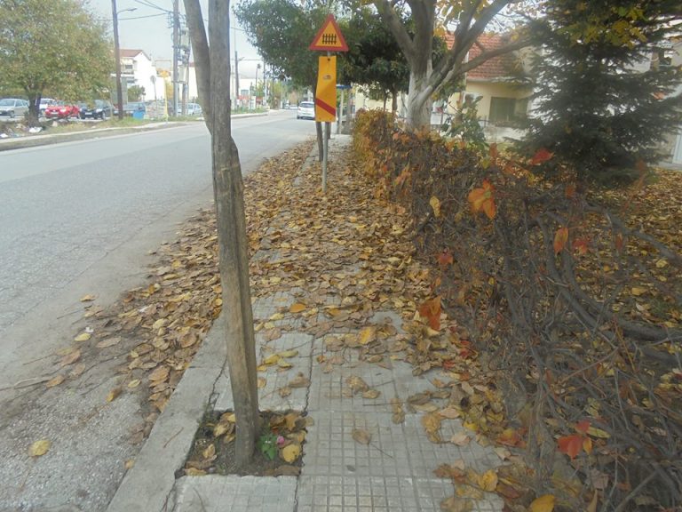 Σε …κλοιό φύλλων η πόλη των Τρικάλων