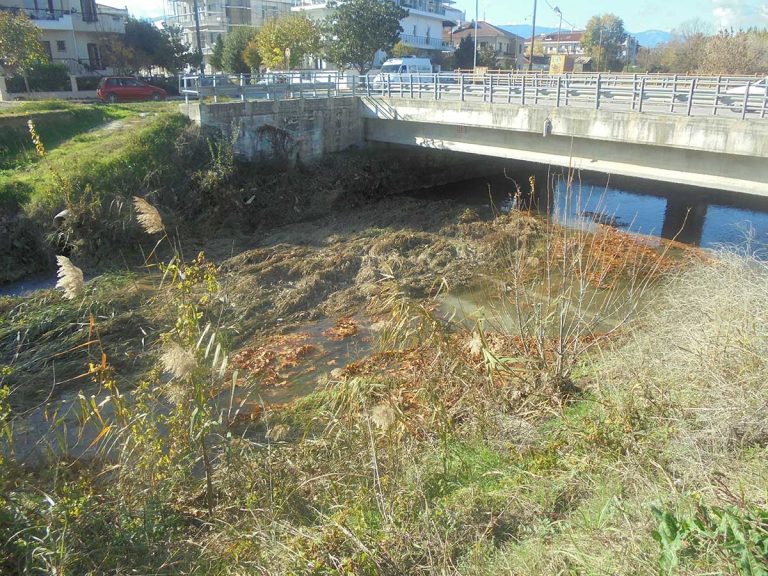 Μοναδική ελπίδα τα …Ξωτικά