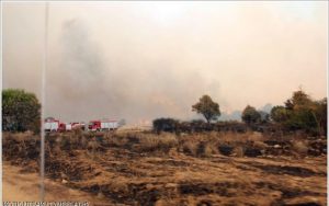 Πυρκαγιά έκαψε ποιμνιοστάσιο και ζώα στα Φάρσαλα