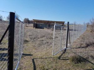 Επιχείρηση …ανεπιτήρητα ζώα