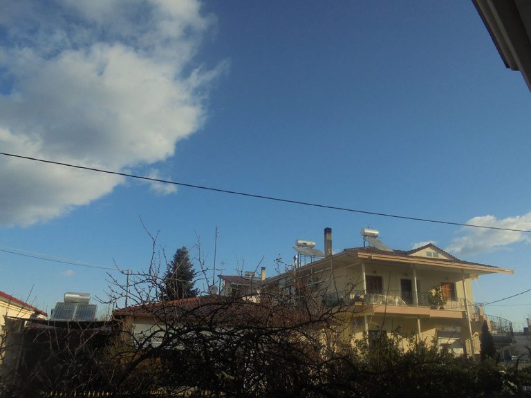 Σταμάτησε το … μούλιασμα στα Τρίκαλα