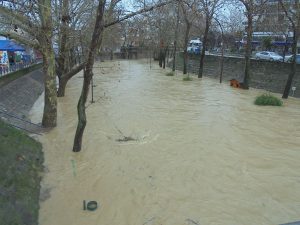 Φθηνοί στο αλεύρι και ακριβοί στα πίτουρα