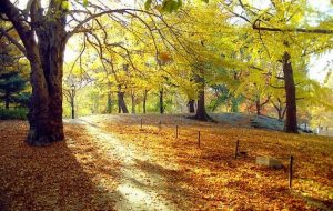 Λιακάδα το πρωί και σποραδικές βροχές το βράδυ