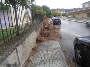 Αισιοδοξία ότι φέτος θα καταφέρει να μην χάσει την «μάχη»