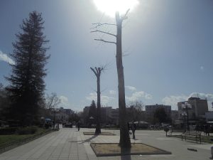 Κάλεσμα σε Αρχιτέκτονες για την κεντρική πλατεία και την πλατεία «Εθνικής Αντιστάσεως»