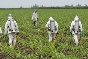 Σχετικά με περιστατικά οξείας δηλητηρίασης από γεωργικά φάρμακα