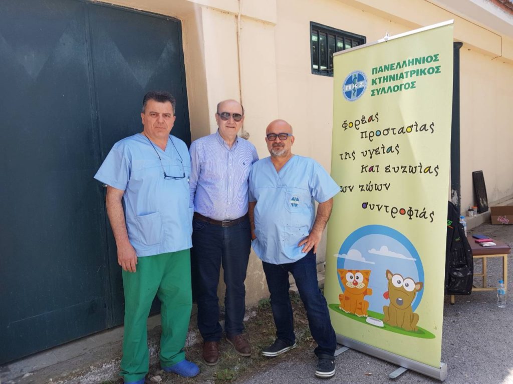 Νέο πρόγραμμα στειρώσεων αδέσποτων ζώων