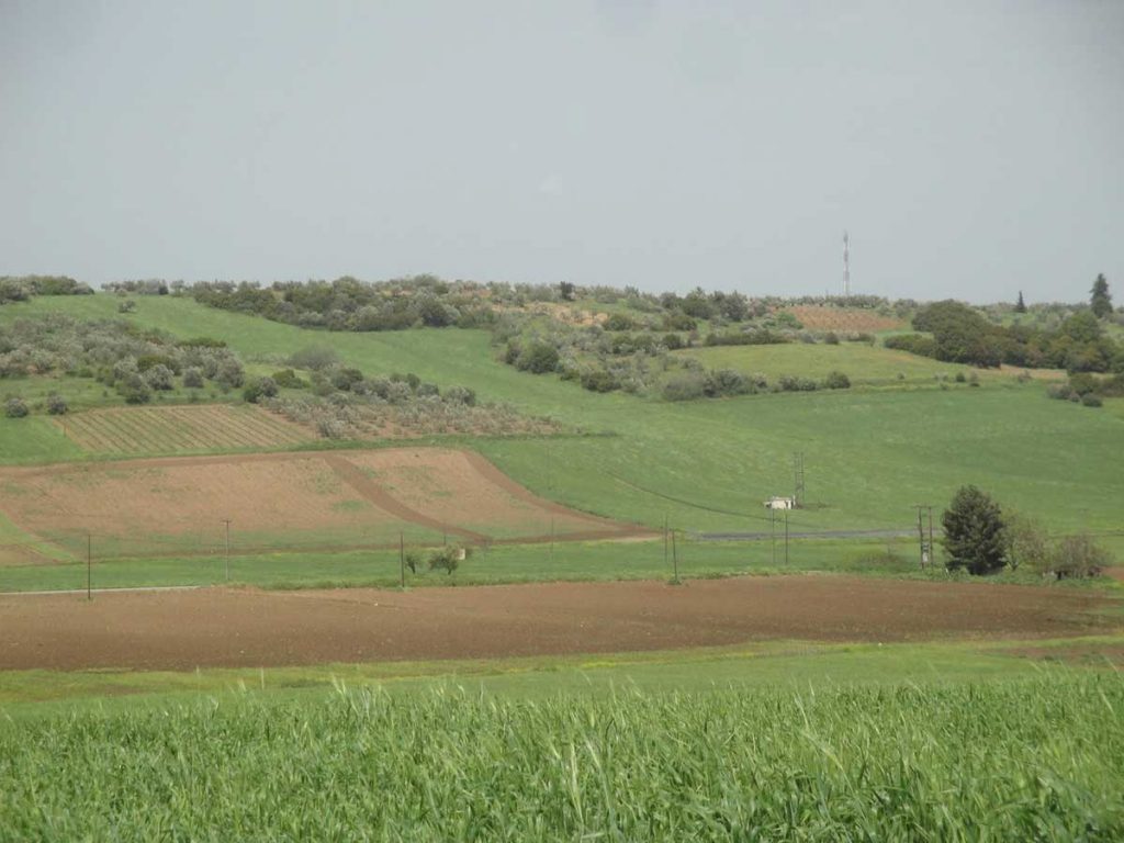 Aιτήσεις παραγωγών για την επιλεξιμότητα, την άρση επικάλυψης αγροτεμαχίων και ένταξης σε περιφέρεια ΟΣΔΕ