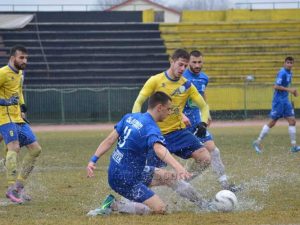 Profile