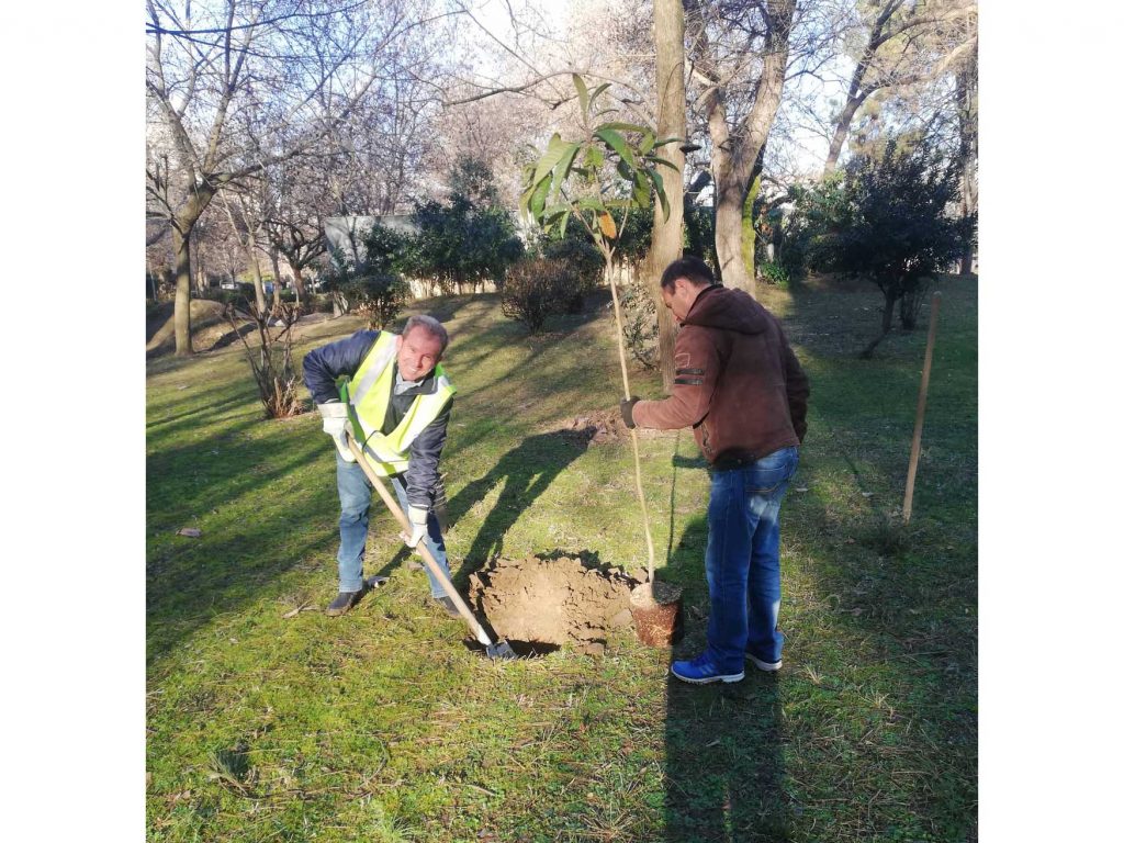 Δενδροφυτεύσεις από τον Δήμο Καρδίτσας