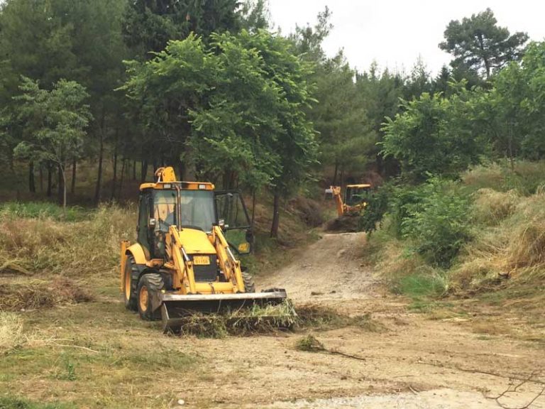 ​Ο Δήμος Τρικκαίων καθαρίζει το άλσος Προφήτη Ηλία