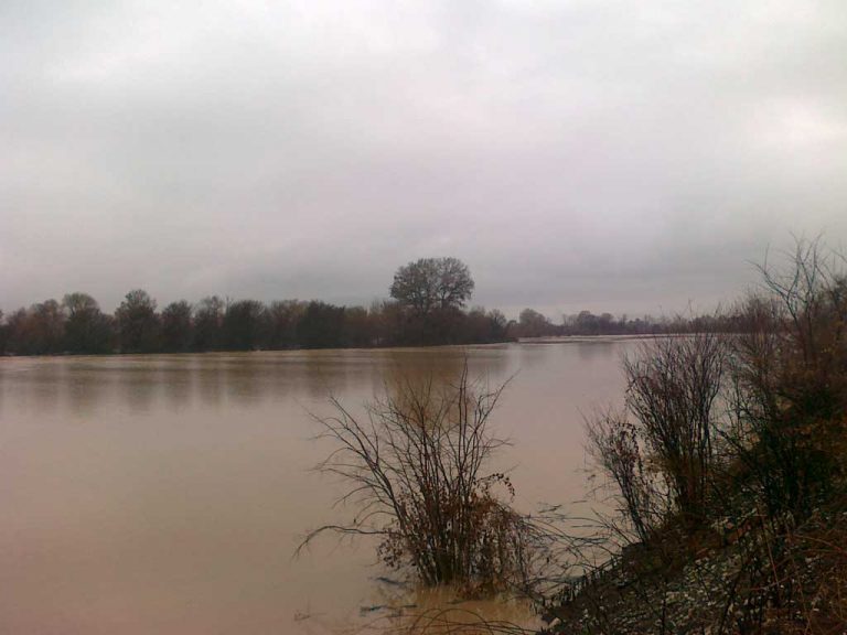 «Εκτιμήσεις και πορίσματα ζημιών έτους 2017»