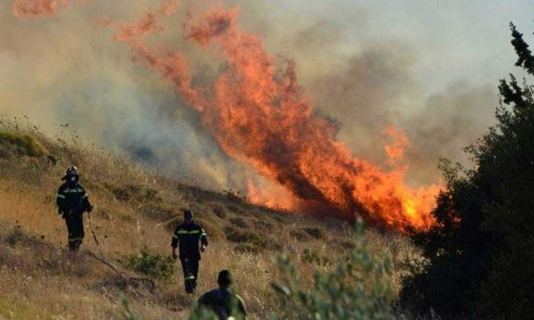 Μεγάλη φωτιά σε εξέλιξη στα Μέγαρα