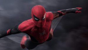 Profile 6 spider