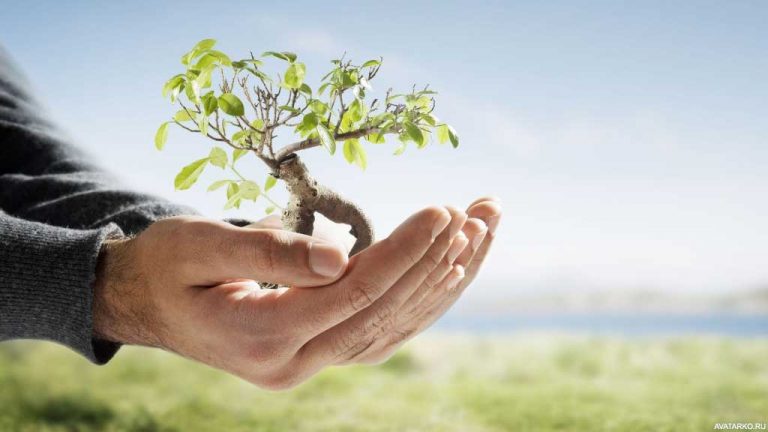 Αποτελέσματα εκλογών Γεωπονικού Συλλόγου Τρικάλων