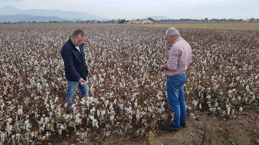 Κόκκαλης για βαμβάκι: Ιδού η Ρόδος για την κυβέρνηση να στηρίξει τους αγρότες
