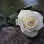 Έφυγε από τη ζωή ο Γεώργιος Στούμπης