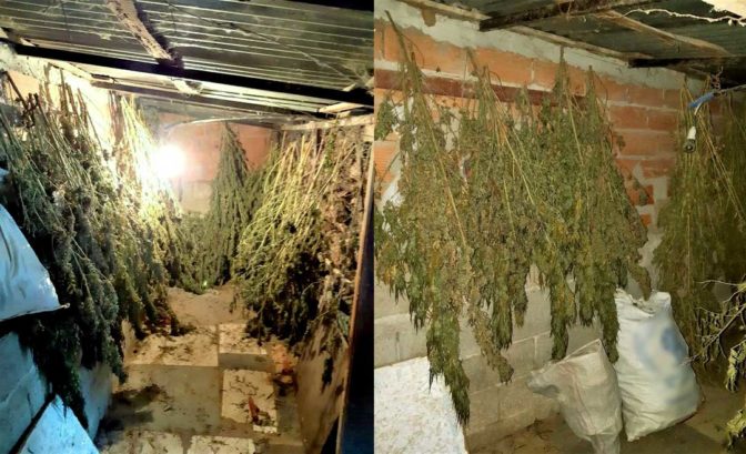 Τρικαλινός είχε στην οικία του 10 κιλά κάνναβη