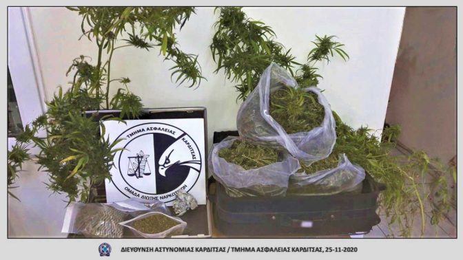 Σύλληψη Καρδιτσιώτη με 2,5 κιλά κάνναβη και 3 δενδρύλλια