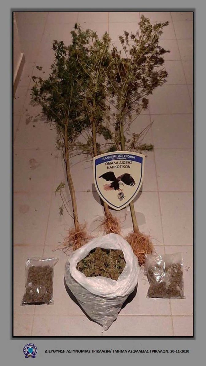 Στην σκεπή του σπιτιού έκρυβε την κάνναβη Τρικαλινός