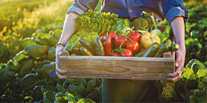 Κάλεσμα των παραγωγών κηπευτικών προϊόντων που επλήγησαν οικονομικά λόγω του Κορωνοϊού