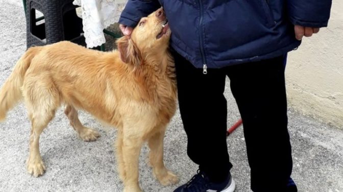 Φαρκαδόνα: Σκύλος φύλακας «άγγελος»- Τους έσωσε από το σεισμό