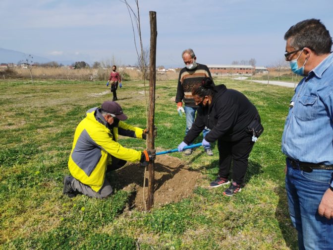 Κι άλλο πράσινο στον Πυργετό και τον Αγιαμονιώτη
