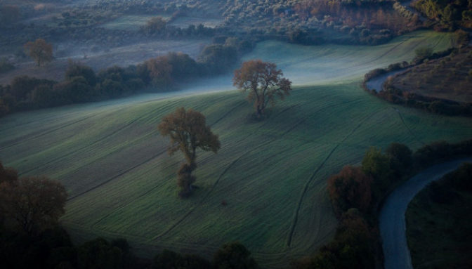 Ζημιές στις καλλιέργειες από τους συνεχιζόμενους παγετούς στον Ν. Τρικάλων