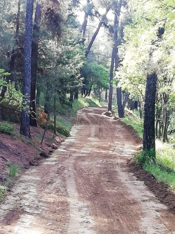 Αντιπυρική προστασία και καθαρισμός στο άλσος Προφήτη Ηλία