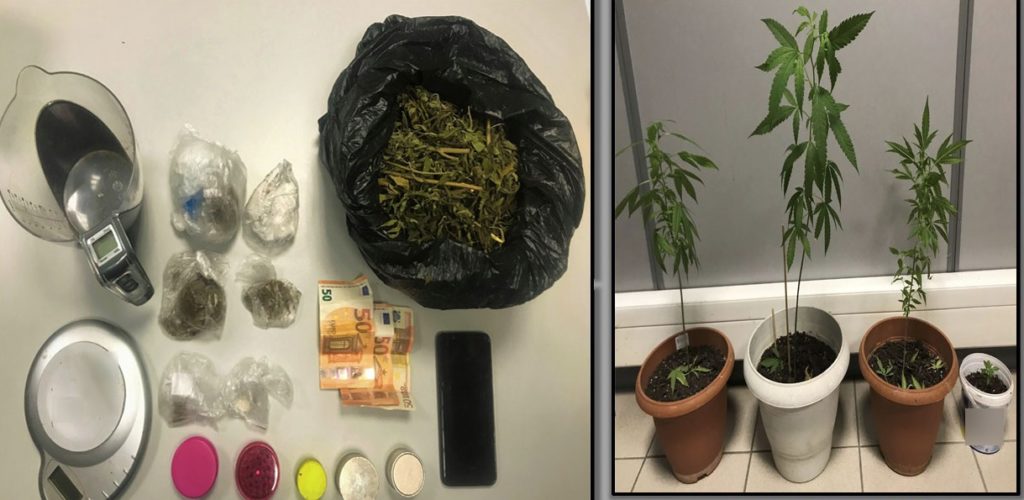 Λάρισα: Σύλληψη για ναρκωτικά- Καλλιεργούσε δενδρύλλια κάνναβης,