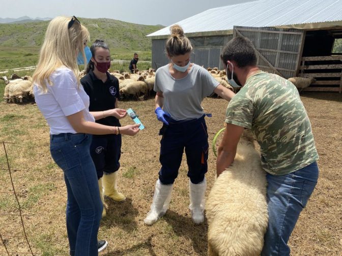 Στο επίκεντρο η κτηνοτροφία από την Φωτεινή Αραμπατζή