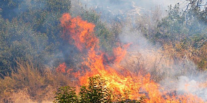 Στο πορτοκαλί η Ελλάδα αύριο Παρασκευή από τον κίνδυνο πυρκαγιών