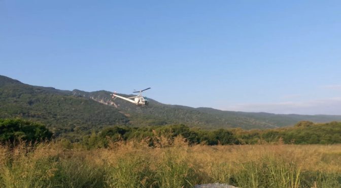 Θεσσαλία: Στη μάχη με τα κουνούπια και την προστασία από τον ιό του Δυτικού Νείλου