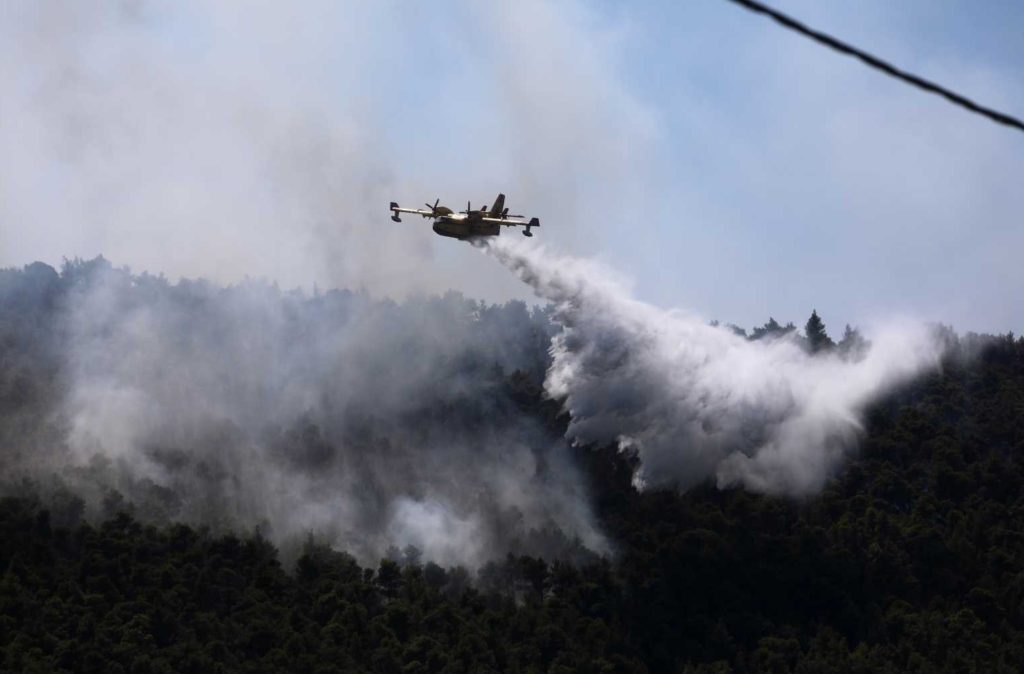 Φόβοι για αναζωπυρώσεις στα Βίλια και Λαυρεωτική, 80.000 στρέμματα στάχτη