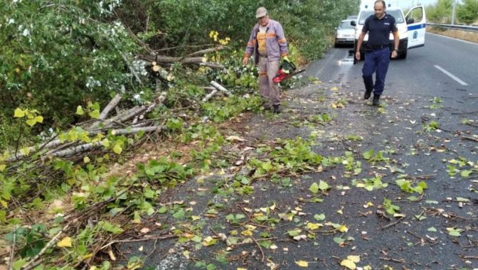 Χθεσινό μπουρίνι στο δήμο Τρικκαίων... Παρέμβαση για αποκατάσταση της κυκλοφορίας
