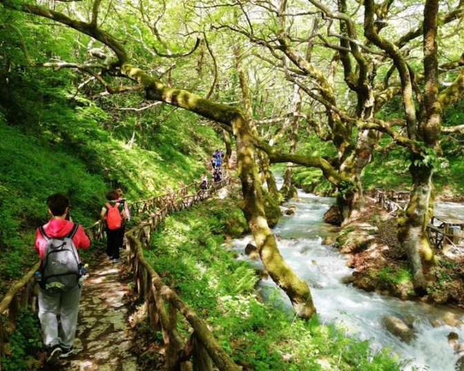 Συνεργασία ΚοινΣΕΠ, πολιτών και φορέων με φόντο το «Σχέδιο Ασκληπιός» του Δ. Τρικκαίων