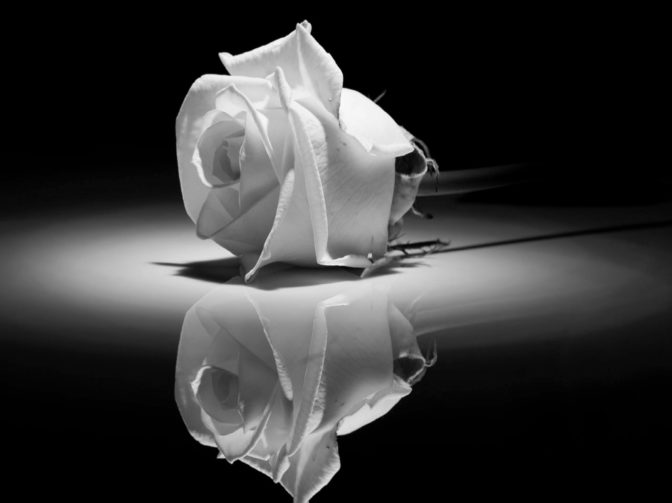 Συλλυπητήριο μήνυμα της προσωρινής Εκτελεστικής Γραμματείας του Νομαρχιακού Τμήματος Α.Δ.Ε.Δ.Υ. Ν. Τρικάλων για το θάνατο της Φώφης Γεννηματά