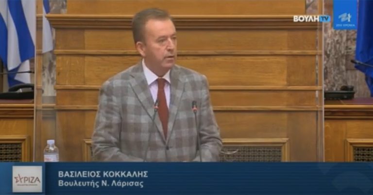 Κόκκαλης στην Επιτροπή Οικονομικών «Για να μπορέσει να συνενωθεί μια επιχείρηση, πρέπει πρώτα να είναι βιώσιμη»