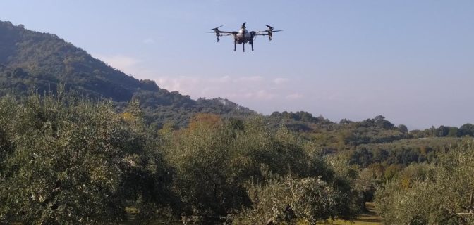 Ψεκασμοί με drones για την καταπολέμηση του δάκου της ελιάς, σε Κόκκινο Νερό, Καρίτσα και Κεραμίδι