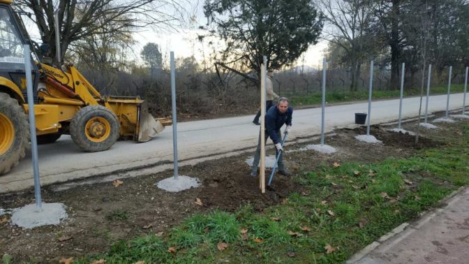 Καρδίτσα: Πραγματοποιήθηκε δενδροφύτευση στο αθλητικό πάρκο του Παλέρμου