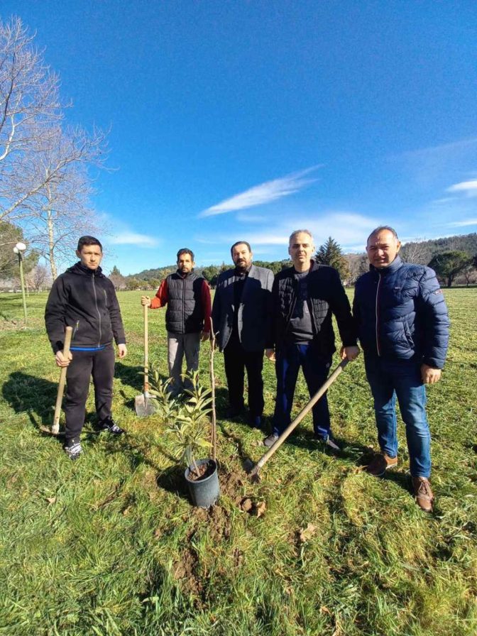 Συνέχεια εργασιών συντήρησης και καλλωπισμού στη Βασιλική