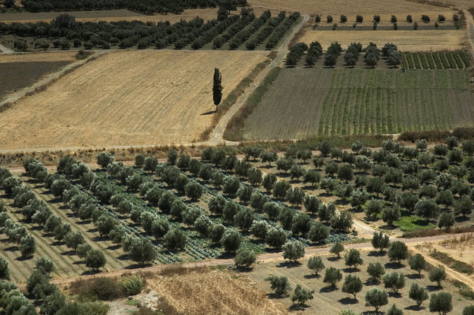 Επείγοντα ή …. σημαντικά …